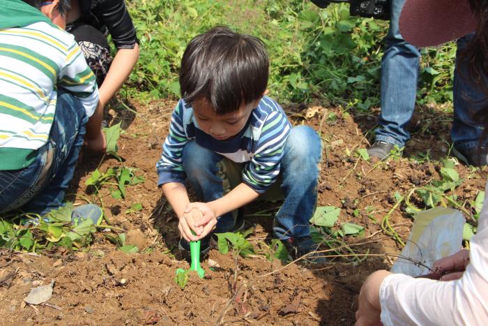 福田機關幼兒園在深圳九龍山生態園舉辦趣味農家樂親子游