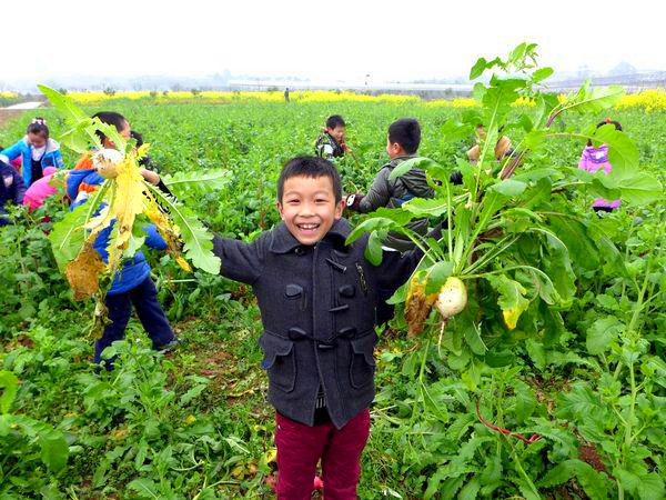 深圳市翠竹小學親子活動選擇深圳九龍山生態(tài)園