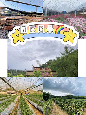 公司集體團(tuán)建出游戶外野炊在深圳值得去的地方
