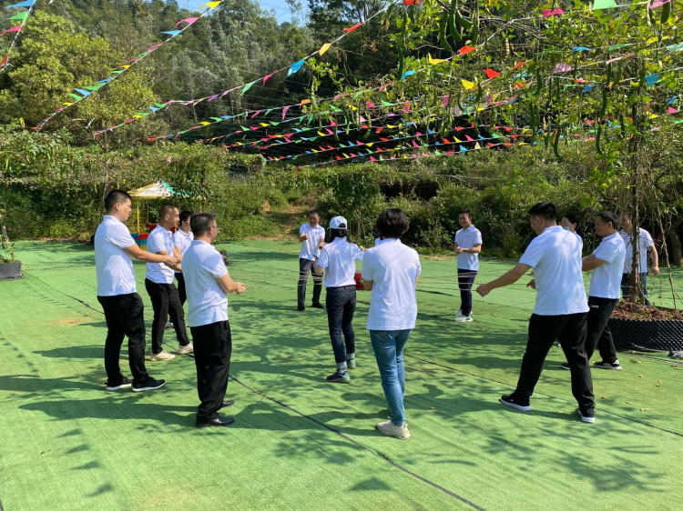 深圳公司團建活動向往的田園風光