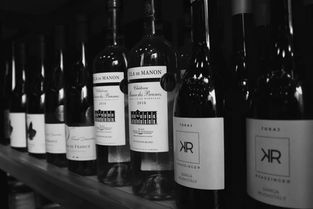 又一家開業,南向坡地引領酒類零售新風向